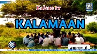 Wararka Duhurnimo Telefishinka Kalsan Tv 12-11-2024.