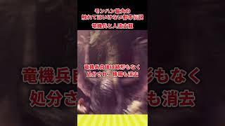 触れてはいけないモンハンの闇