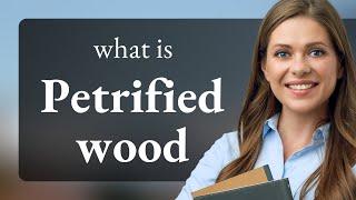 Understanding Petrified Wood: A Fascinating Natural Phenomenon