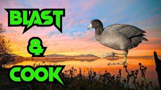 Coot Blast & Cook! Journey of a Newbie Waterfowl Hunter