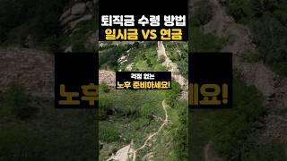 퇴직금 일시금? 연금? 뭐가 더 좋을까 #노후준비