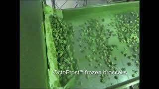 Broccoli IQF OctoFrost Frozen