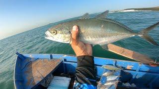 "ME CHAMARAM de LOUCO" PESCARIA no MAR com MAIS DE 30 ANZÓIS !!! ATENÇÃO AVISO IMPORTANTE.