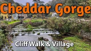 Walking Cheddar Gorge Clifftops and Cheddar Village Tour