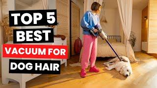 Top 5: Best Vacuum for Dog Hair (2025)