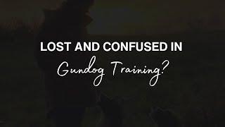 Lost And Confused In Gundog Training - The LWDG