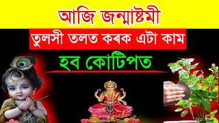 আজি জন্মাষ্টমী / Today janmaastami Assamese Rashifal / Assamese Remedy Janmastami / Tulsi Remedy