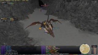 FFXI on Era Private Server - Ungur Manaburn