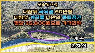 ((평당 35,800원으로 가격인하))(552번)#내땅뒤국유림 내땅앞맑은계곡땅 나만의 독립된토지#경북땅매매#영양땅매매#의성땅매매#귀농귀촌#자연인땅#시골땅#오지땅#촌땅#농막#토지매매