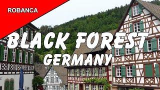 BLACK FOREST TRAVELOGUE: This fantastic picturesque region from south to north, with commentary.