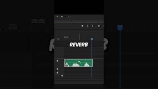 How To Create a Echo Voice Effect in Premiere Pro