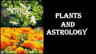 Astrological remedies | Plants for Success and Happiness | Plants and Astrology |