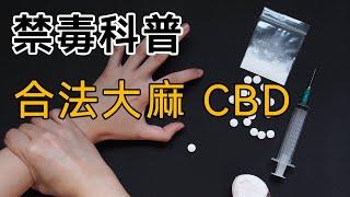 【禁毒科普】第五集：大麻的另類崛起、【CBD合法大麻】