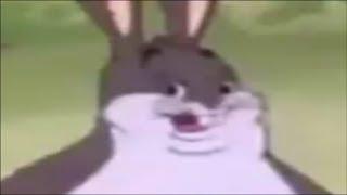 BIG CHUNGUS