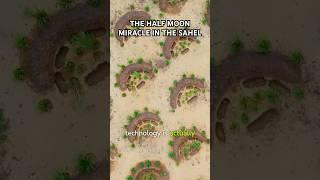The Half Moon Miracle in the Sahel