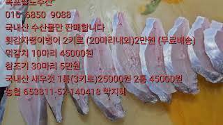 횟감병어가  싸네요 2키로 2만원 (무료배송)먹갈치 10마리 45000원 참조기 30마리 5만 새우젓 3키로 25000원 2통 45000원