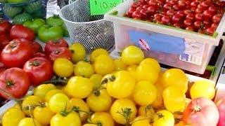 Fresh Produce at the Union Sq Greenmarket - April 11 2014