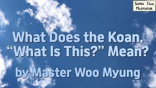  What Does the Koan “What Is This?” Truly Mean?: Understanding the Origin Mind | Master Woo Myung