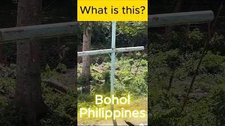 What is this? #bohol #philippines