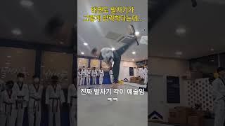 태권도 발차기가 그렇게 강력하다는데...#shorts  #tkd