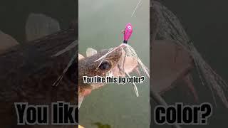 Fish Head Assassin Tackle