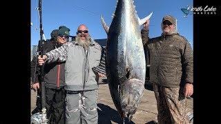 Giant Bluefin Tuna Fishing Prince Edward Island Canada North Lake Charters