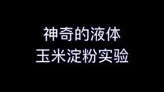 【STEM科学实验系列】神奇的液体-玉米淀粉实验-非牛顿流体