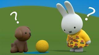 Who made the mess? | Miffy | Sweet Little Bunny | Cartoons For Kids