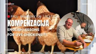 English Lessons for Live Chickens!?! The World of 'Kompenzacija'