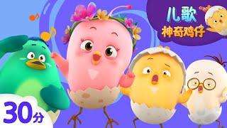 神奇鸡仔POP儿歌 | 30分 | 好習慣兒歌 |好習慣卡通動畫 | Como Kids TV