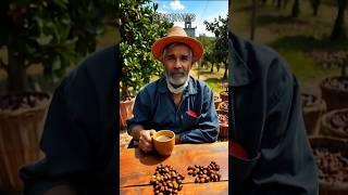 How to Become a Coffee Farmer in a Day