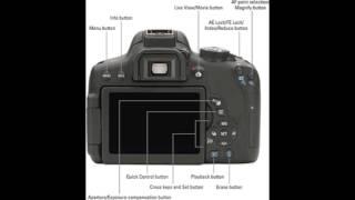 Parts of the DSLR and what they do!