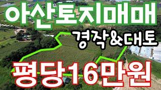 [매물174]아산토지매매 / 경작&대토&농축산용창고시설 / 4735평 / 평당 16만원