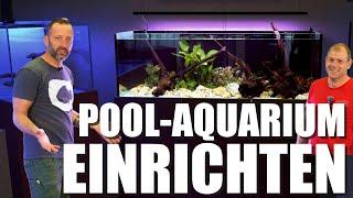 SO richtet man ein PFLEGELEICHTES 440L Süßwasseraquarium ein!!! bei @aquaemotionsaquarienbau