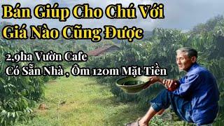 Lô đất giá rẻ đây rồi . 2,9ha cà phê + hồ tiêu . bám 120 mét đường. ao cá to