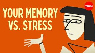 Does stress affect your memory? - Elizabeth Cox