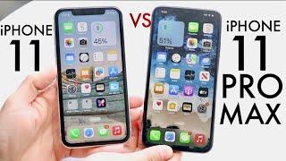 iPhone 11 Vs iPhone 11 Pro Max In 2025! (Comparison) (Review)