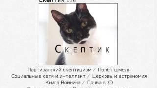 Скептик 036