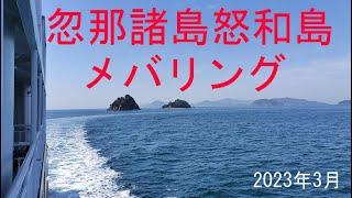 2023年３月　怒和島メバリング