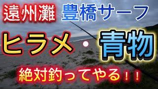 【豊橋サーフ】何でも良いから釣りたい男が本気出した結果は？？#釣り #fishing #ヒラメ #ショアジギング#shimano #duo #daiwa #ルアーフィッシング #青物 #釣り好き