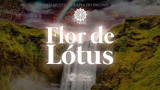 TecnicaMENTE — Flor de Lótus | Elainne Ourives