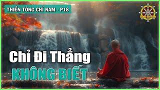 Chỉ đi thẳng – Không Biết | Thiền Tông Chỉ Nam – phần 18