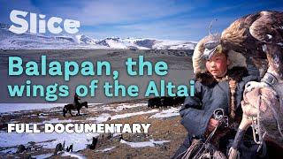 Balapan, the wings of the Altai | SLICE I Full documentary