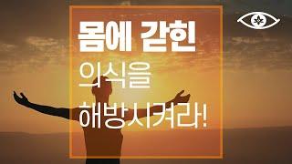 삶은 당신이 사는 게 아닙니다.