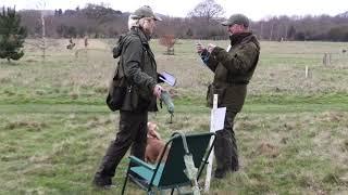 TED CAM - GUNDOG WORKING TEST