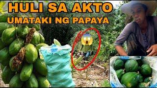 HULI SA AKTO ANG UMAATAKI SA PAPAYA