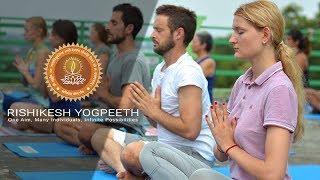 Yoga Teacher Training in India | 200 Hour | 300 Hour | 500 Hour | Rishikesh Yogpeeth