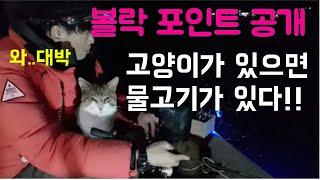 남해볼락루어낚시 초보자도 채비 장비 액션 포인트 방법만 알면 끝!
