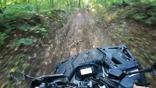 Ride ATV in Amazing Forest in Moldova |  Off-Road Adventure |