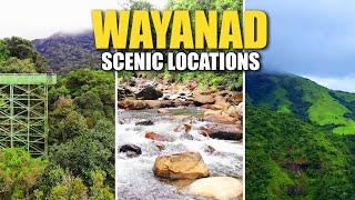 Must visit places in Wayanad || Long Drive with Friends  #wayanad #kerala